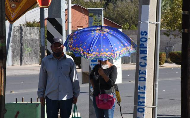 Agradable clima hoy para la capital, se prevé una máxima de 18 grados