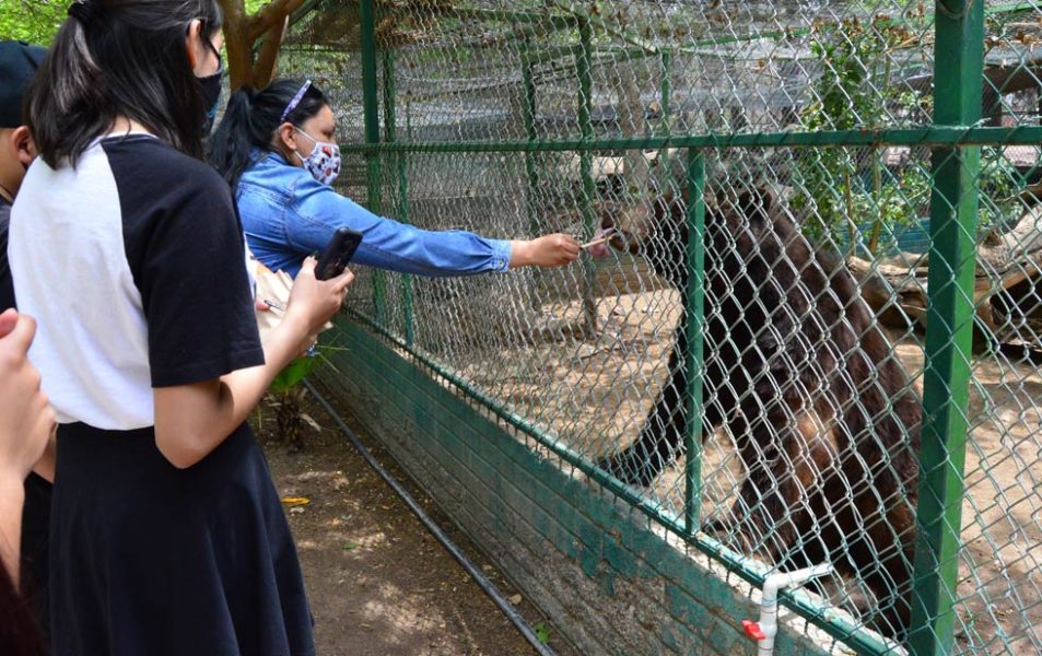 Para escapar de la cotidianidad familias visitan el zoológico de Aldama