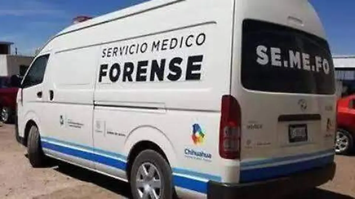 Localizan restos óseos cerca de pista de aterrizaje en Uruachi, Chihuahua