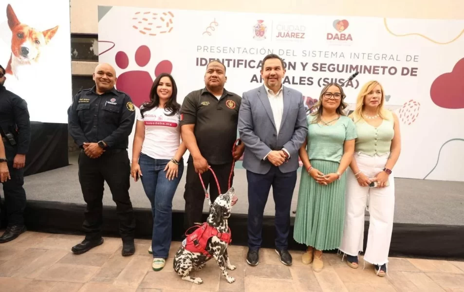 Pondrán microchip gratis a mascotas