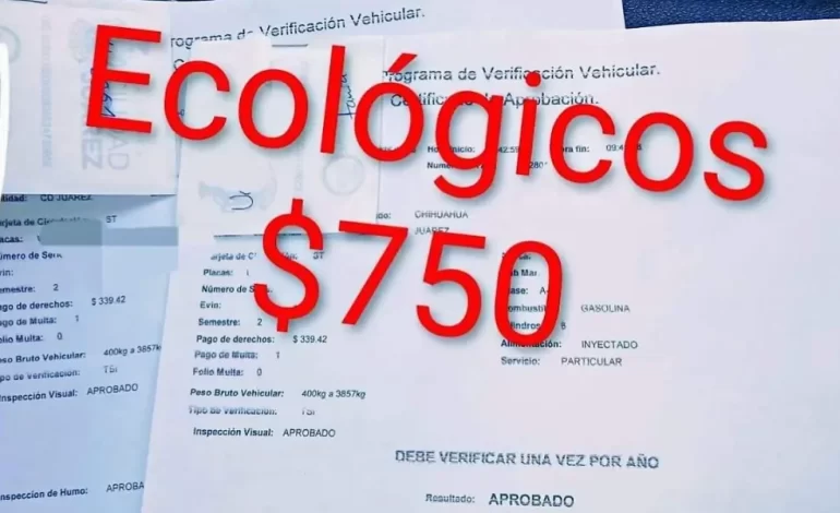 Advierten por fraude en engomados ecológicos; piden hacer el trámite el módulos de Verificación Vehicular