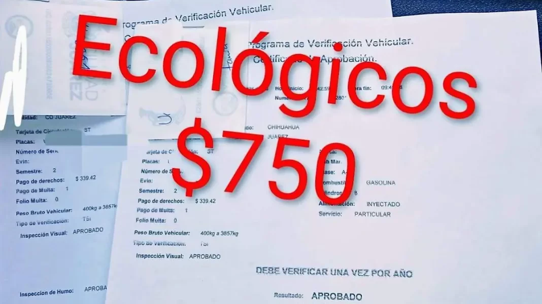 Advierten por fraude en engomados ecológicos; piden hacer el trámite el módulos de Verificación Vehicular
