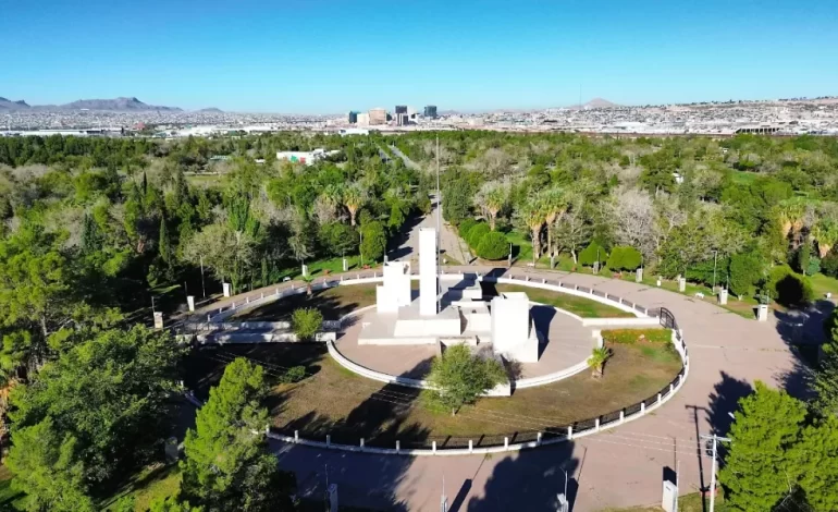 Municipio propone reforestar El Chamizal con más de 5 mil árboles