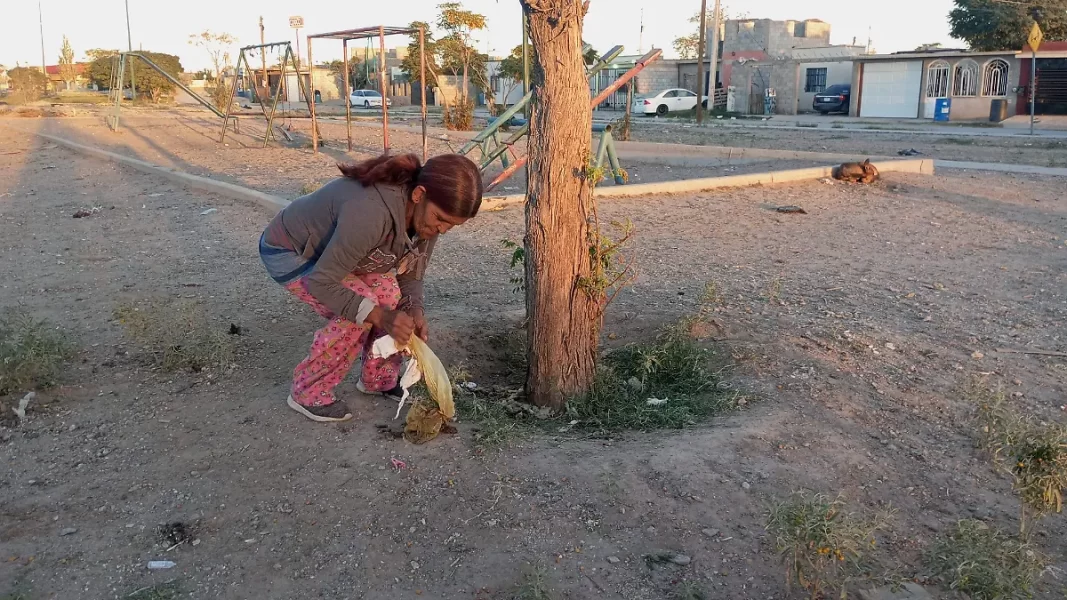 Parques de Riberas del Bravo, solo tierra y juegos sin sombra