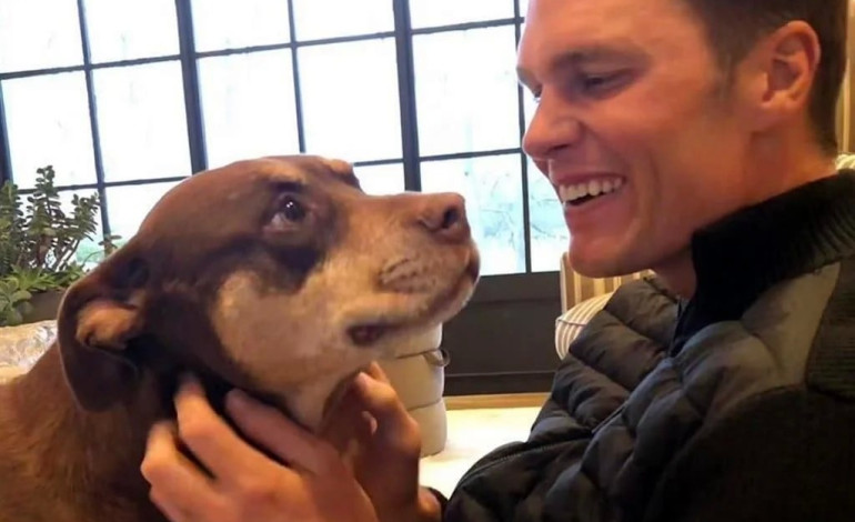 Clonó Tom Brady a su mascota fallecida