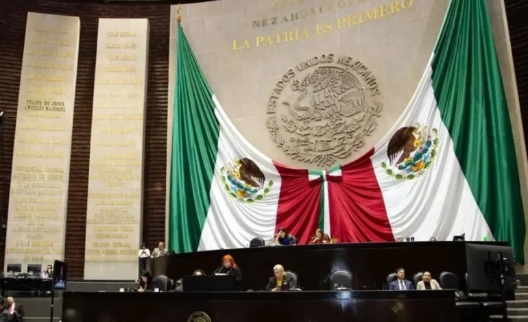 Comparece, entre críticas, presidenta de CNDH
