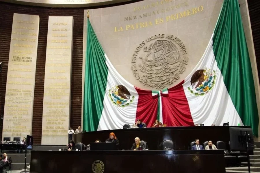 Comparece, entre críticas, presidenta de CNDH
