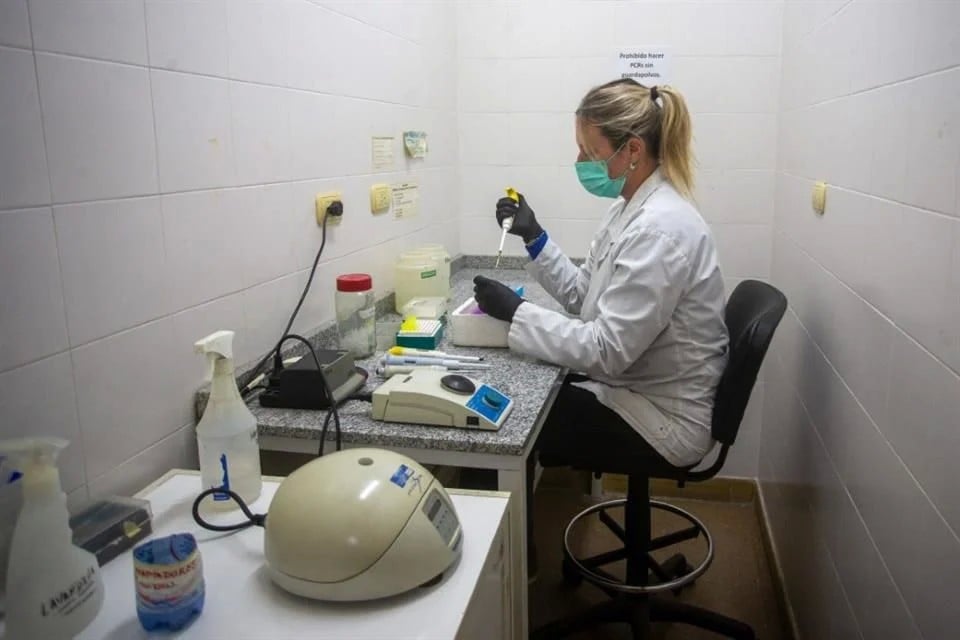 Confirma OMS casos de hantavirus de la cepa de los Andes