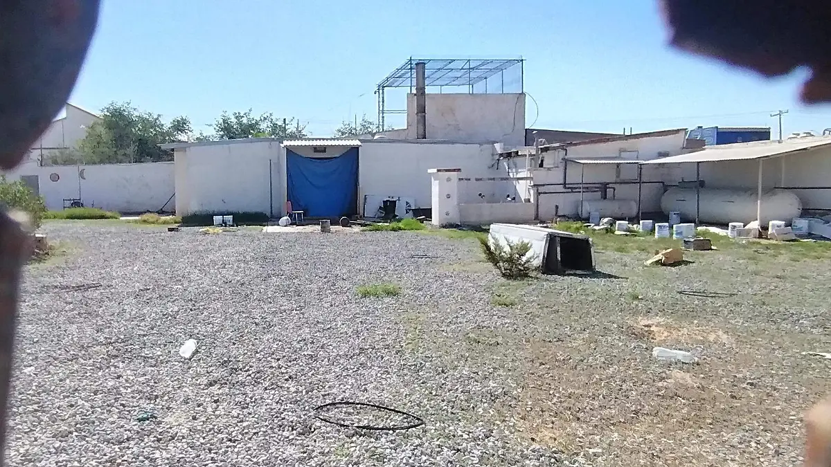 386 cuerpos, 157 denuncias y ninguna sanción a funcionarios
