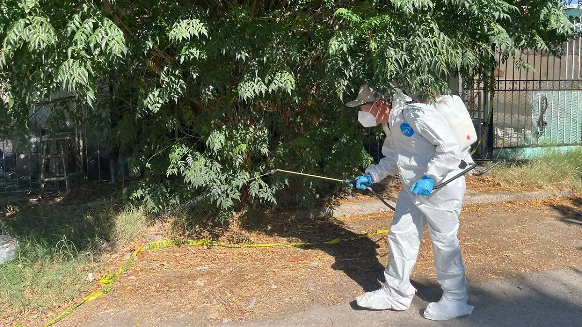 Ecología reporta 30 colonias con mayor demanda de fumigaciones de 2025 a la fecha