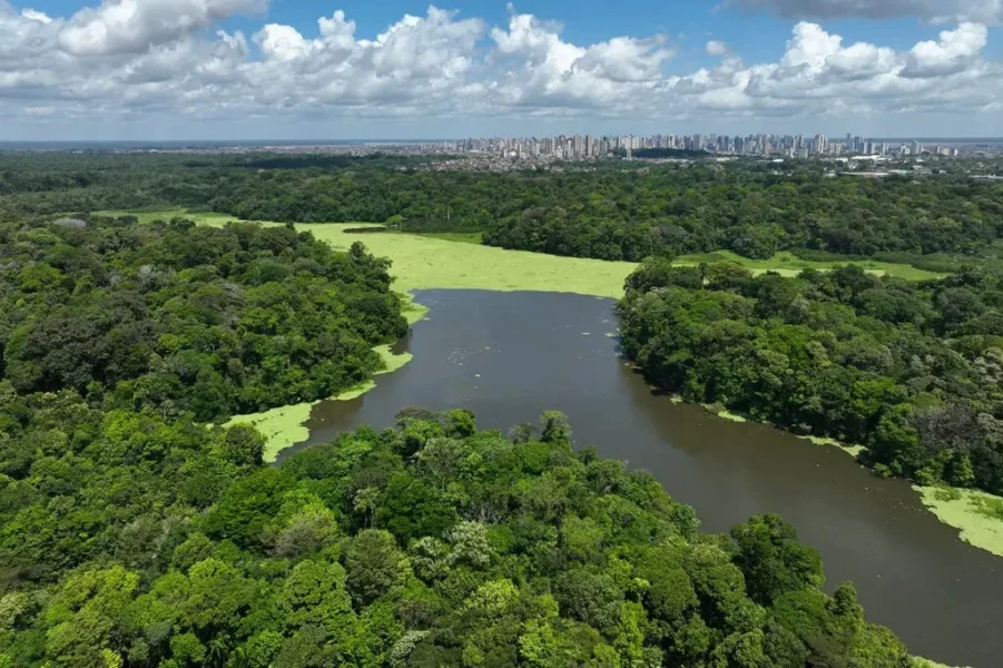 Una ciudad se moviliza contra una persistente amenaza para la salud: los mosquitos