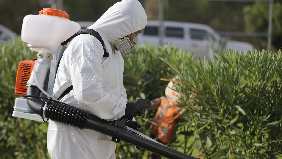 Realiza Ecología cerca de 24 mil fumigaciones y más de 63 nebulizaciones durante 2026